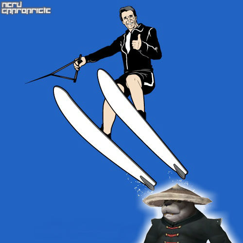 NA_JUMPED_THE_PANDA